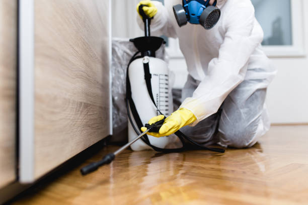 Best Pest Prevention Services  in Lakeland, FL