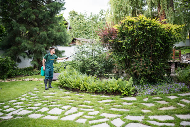 Best Local Pest Control Services  in Lakeland, FL