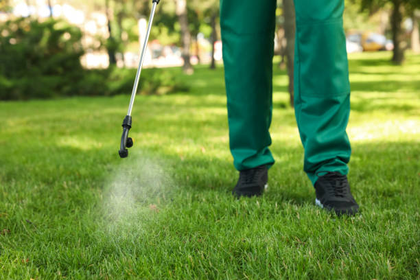 Trusted Lakeland, FL Pest Control Experts