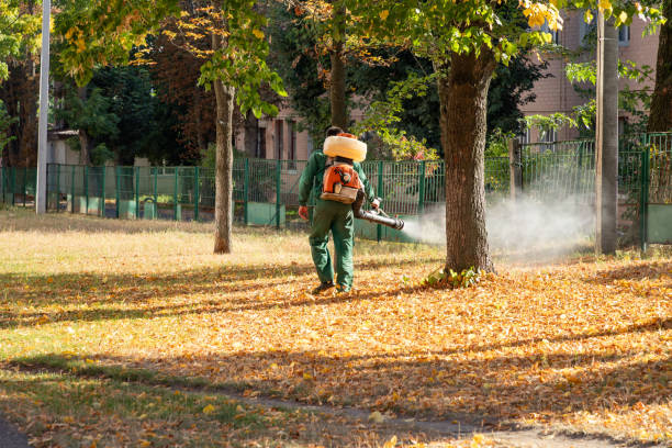 Best Mosquito Control Services  in Lakeland, FL