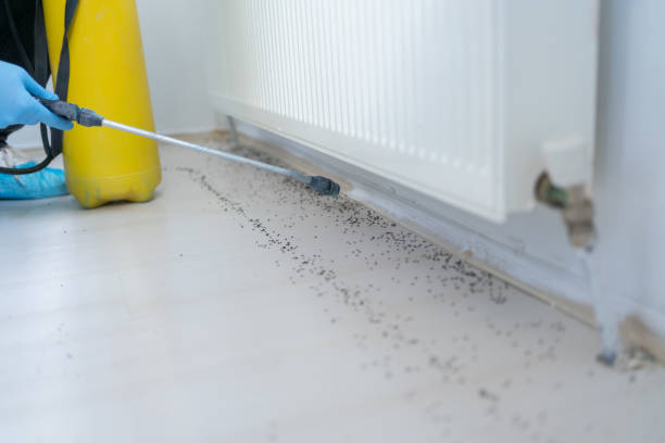 Best Pest Control for Businesses  in Lakeland, FL